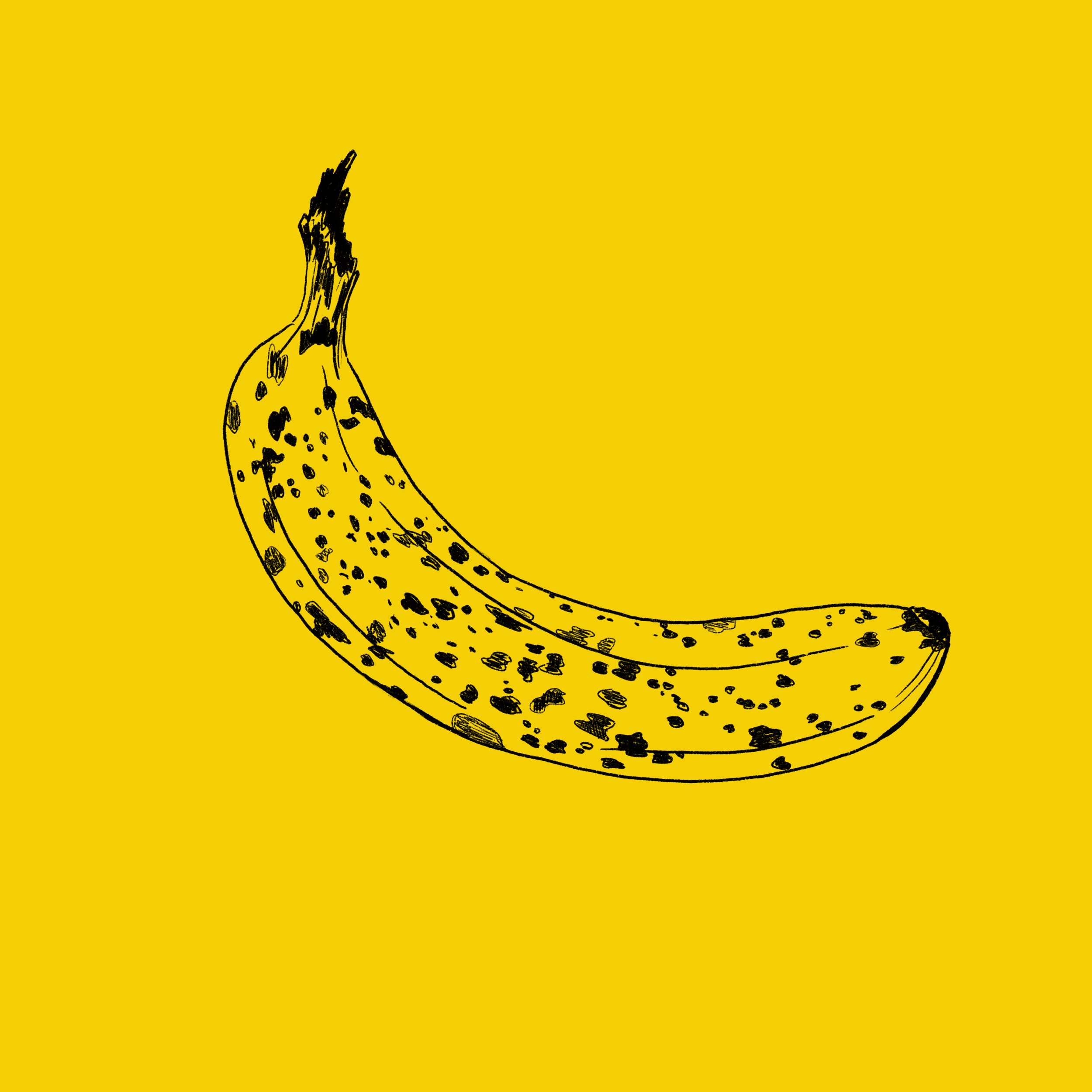 Untitled_Artwork 19.PNG