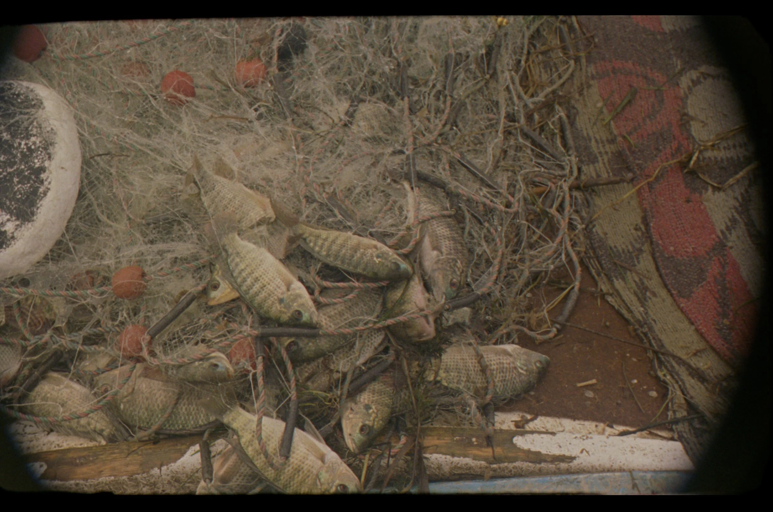 Sequence 01.00_17_48_01.Still021.jpg