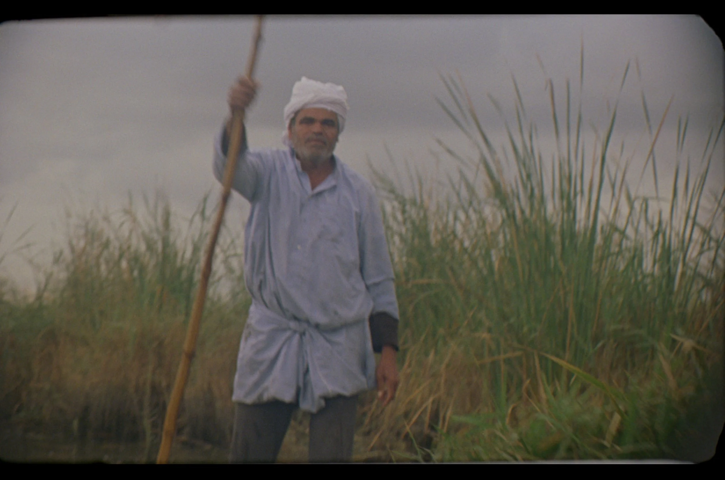 Sequence 01.00_24_07_24.Still024.jpg