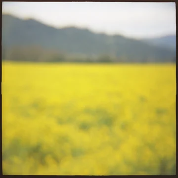 Mustard