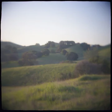 Oak Hillside