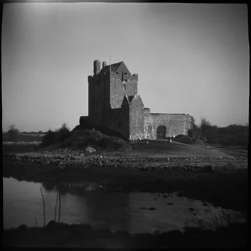 Dungauire Castle