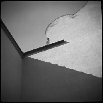 Roofline