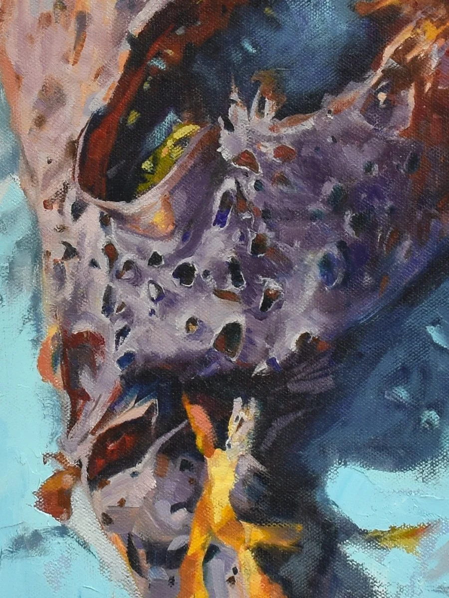 Details.jpg