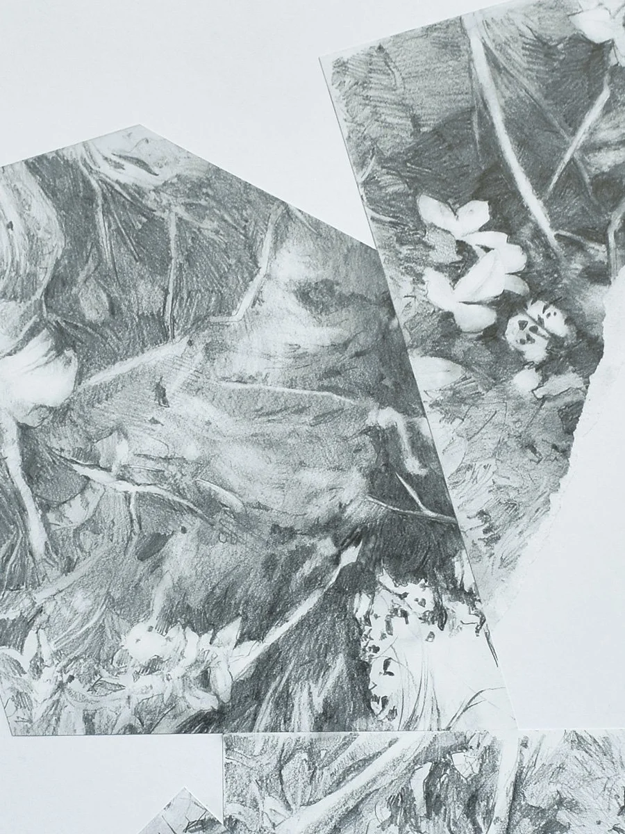 Detail-1.jpg