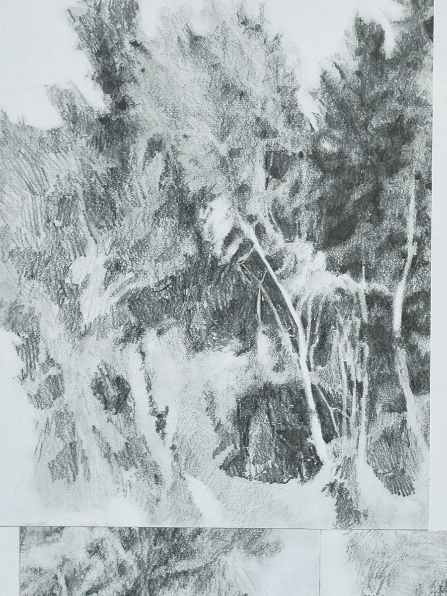 Detail.jpg