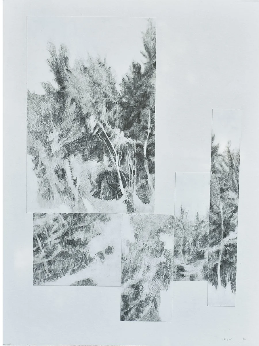 Trees, 2025