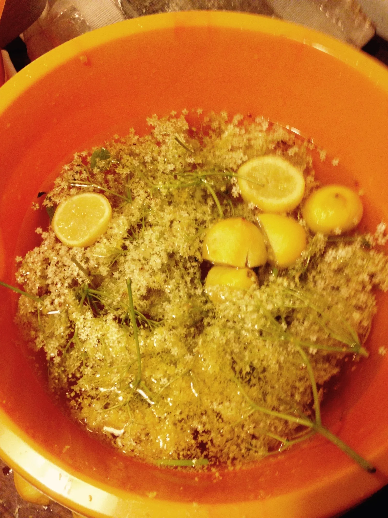 preparing-the-elderflower-wine.jpg