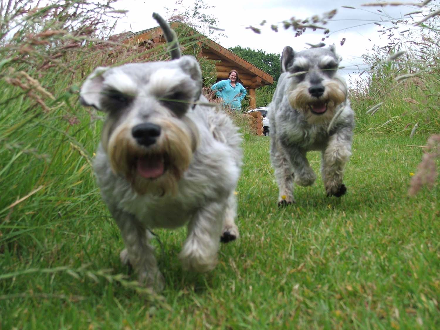dylan-and-bailey.jpg