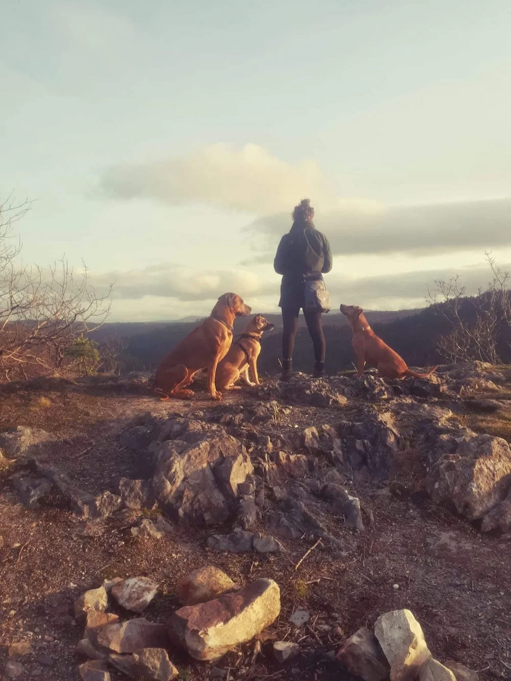 Raffi, Mina and Layla resting after a walk in Snowdonia