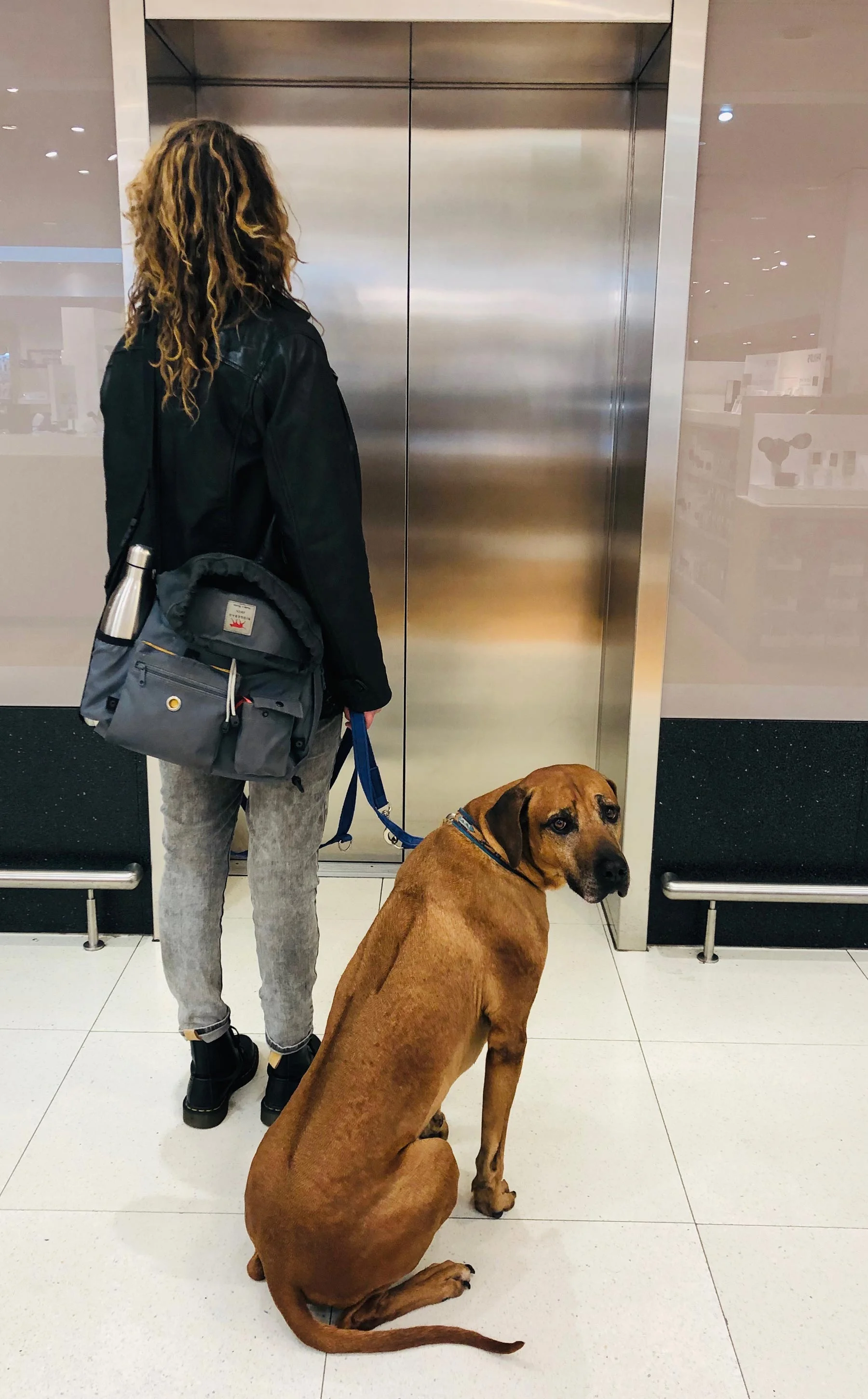 waiting-for-the-lift.jpg