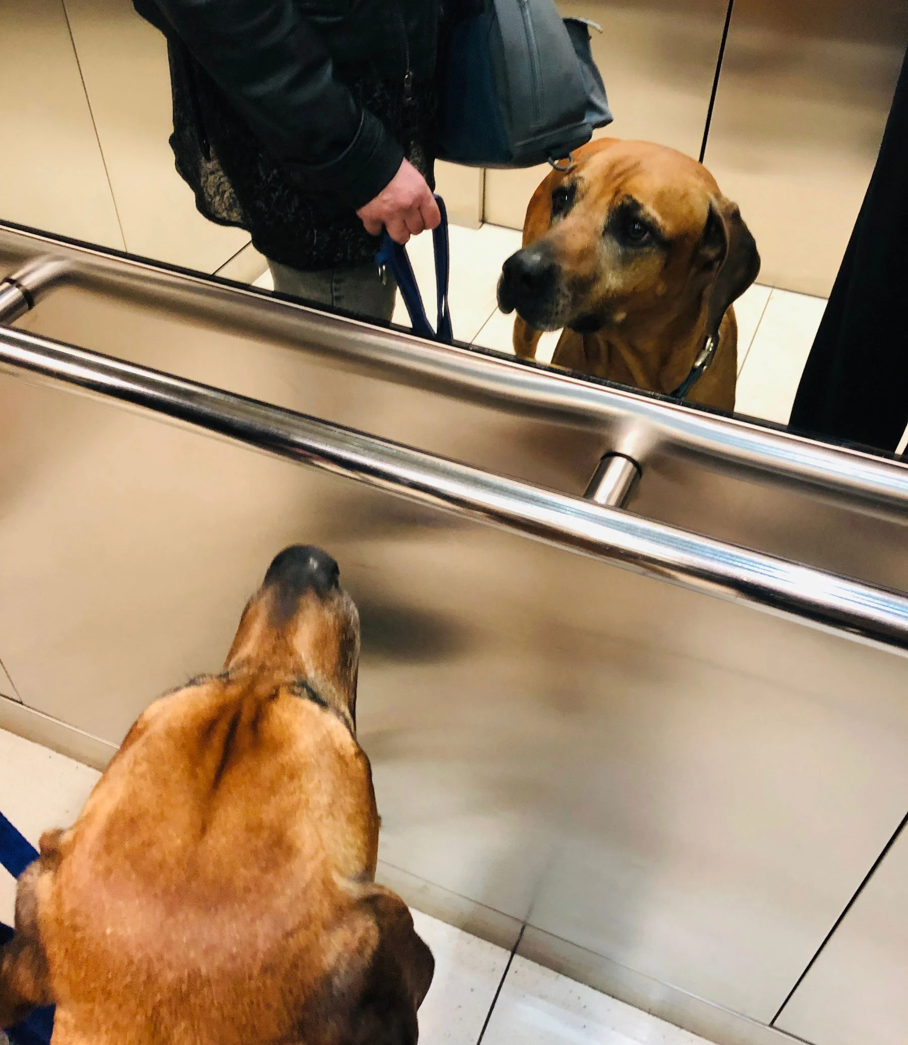 raffi-inside-the-lift.jpg
