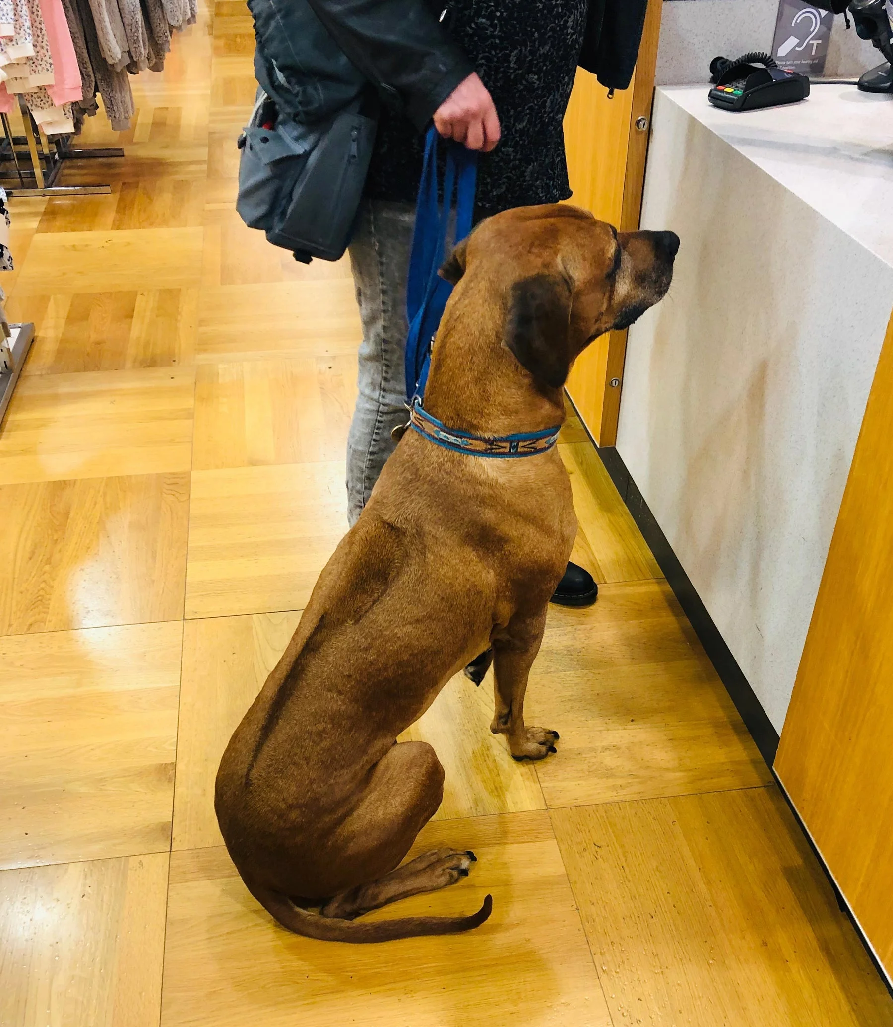 at-the-cashier.jpg