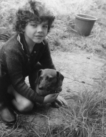 Of Wolfhounds and Warriors