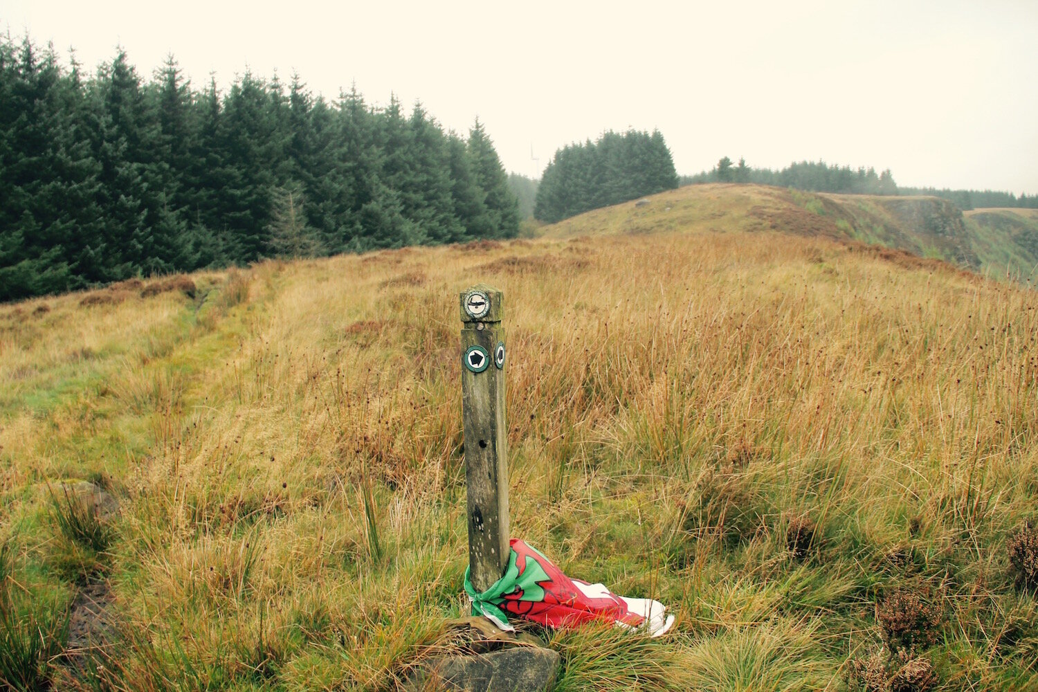 Cwm Rhondda