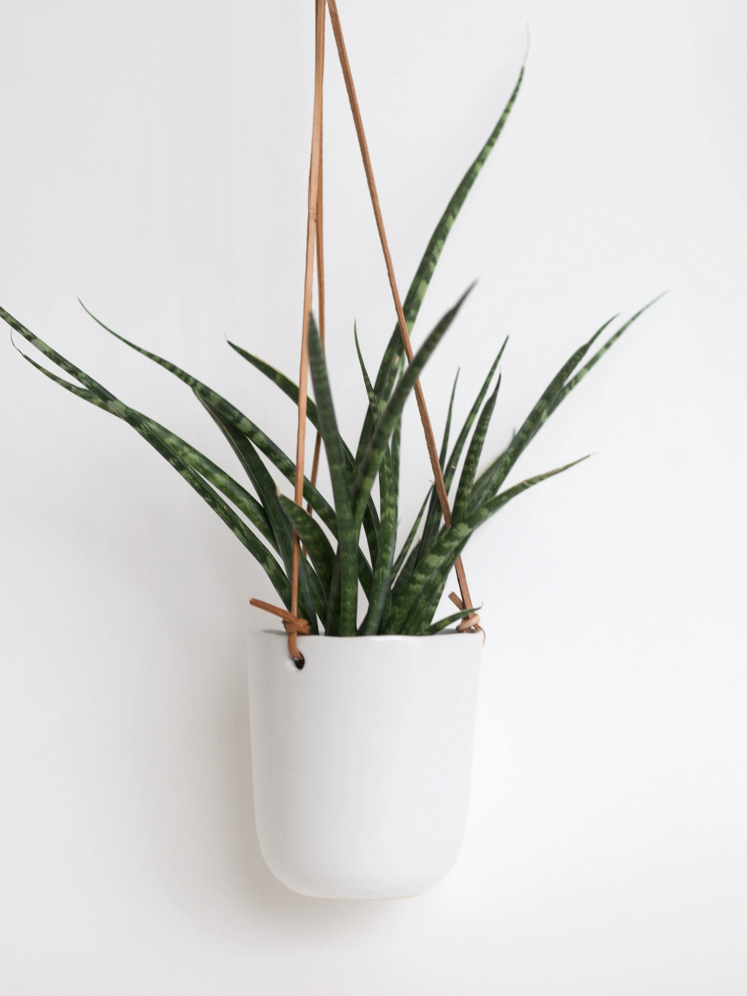 The Hanging Garden Collection