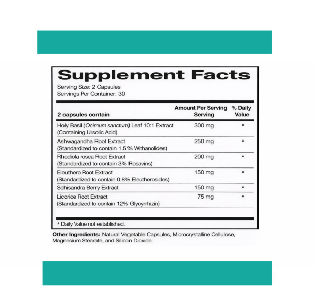 Screenshot 2026-03-25 2.45.13 PM.png