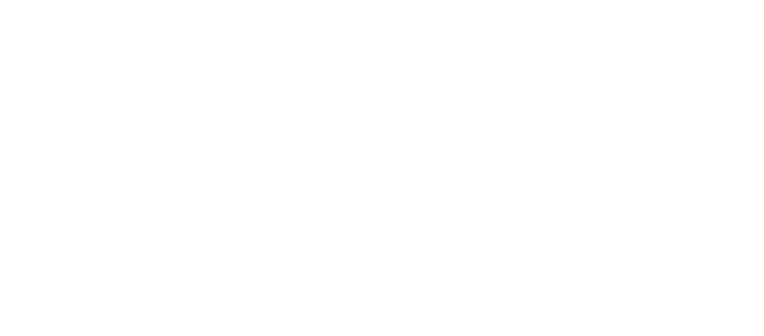 DLS