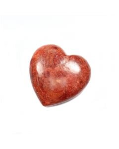 Red Sea Bamboo Heart (4cm)