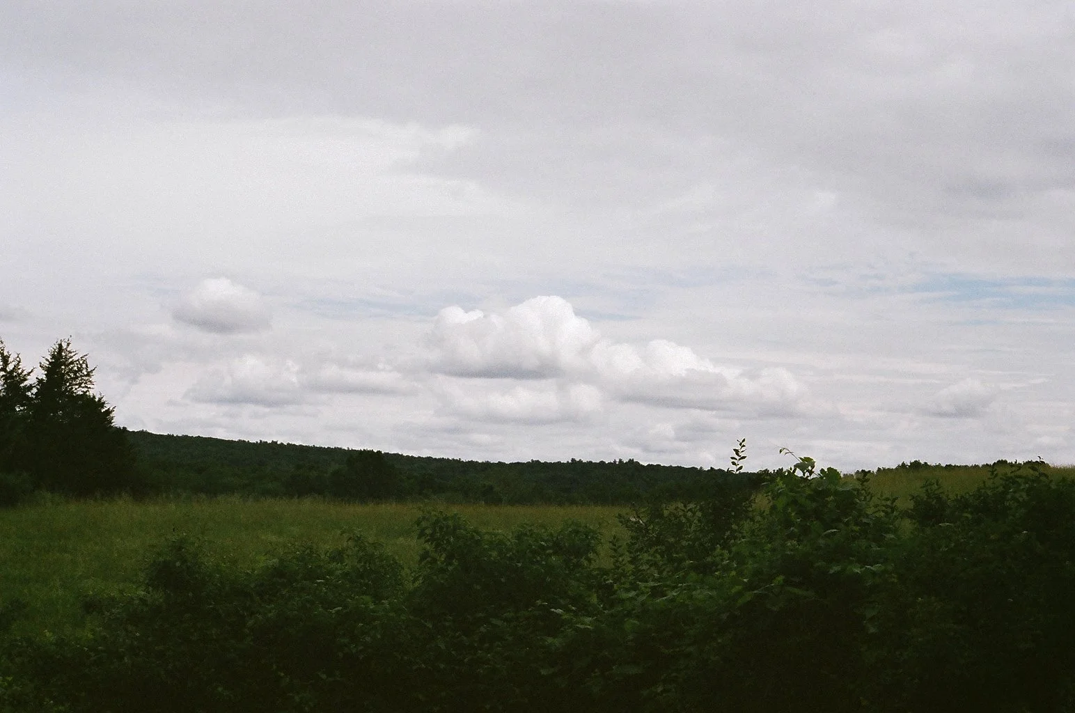 93770032.JPG