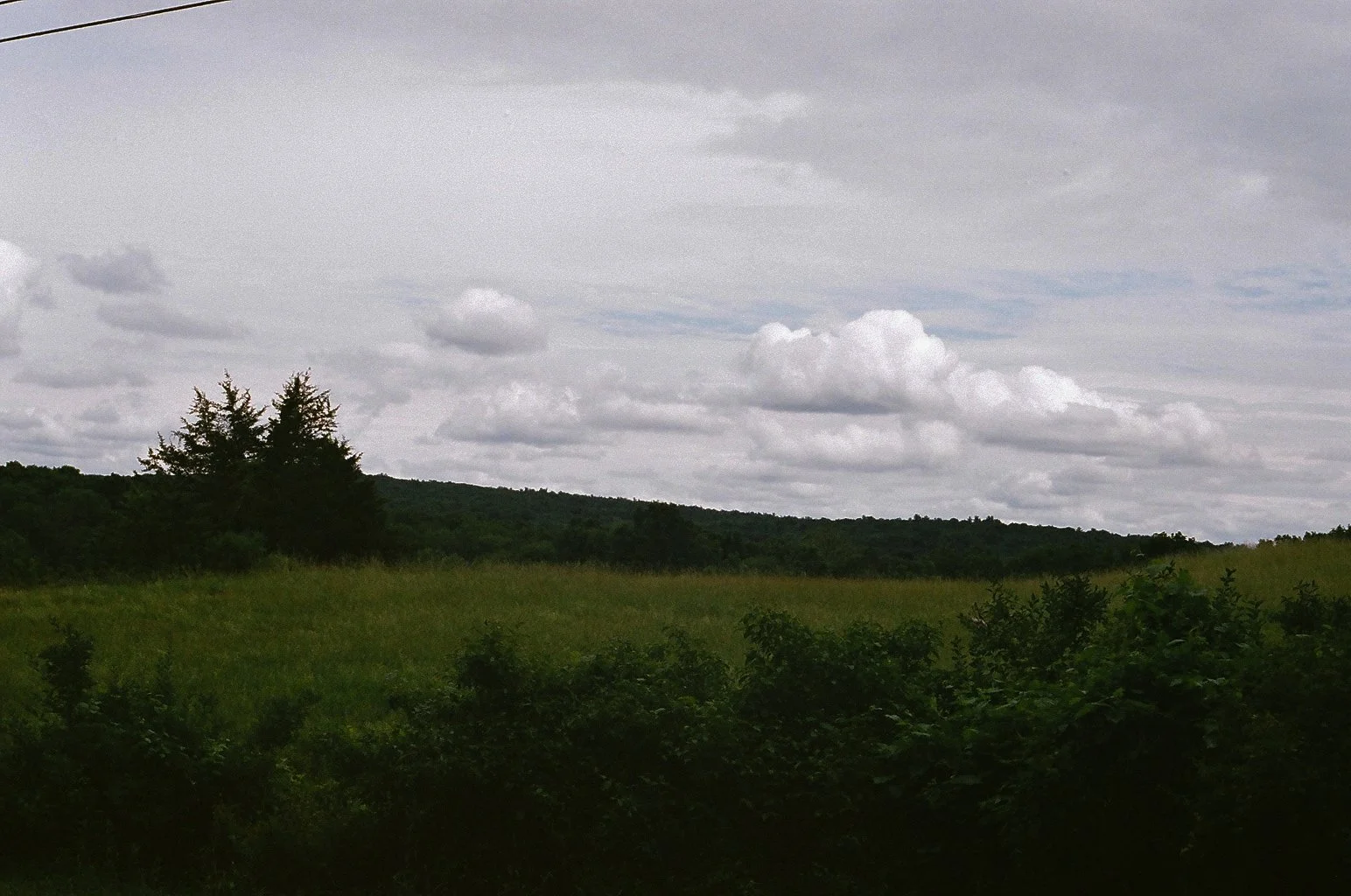 93770031.JPG