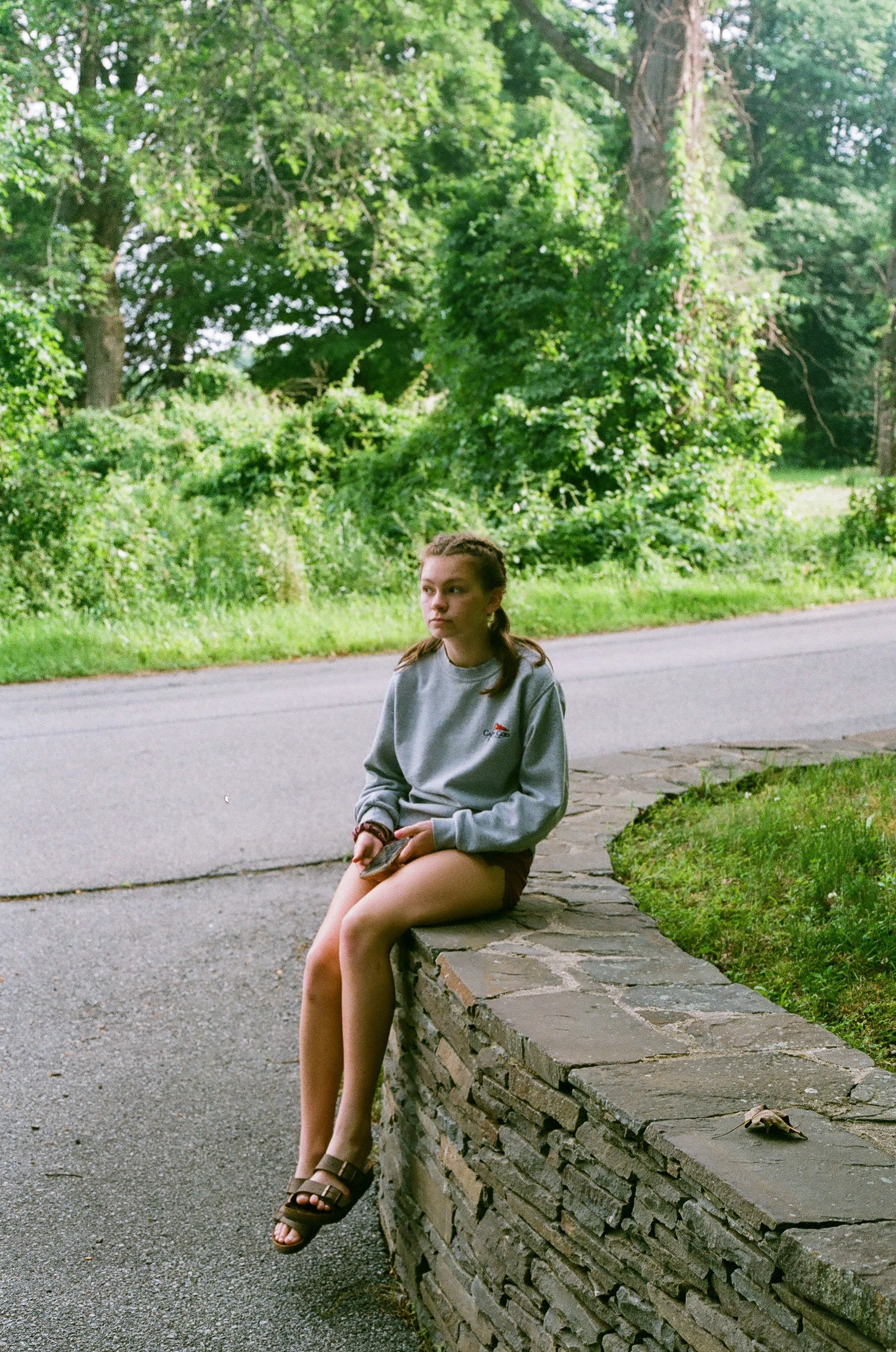 58160035.jpg