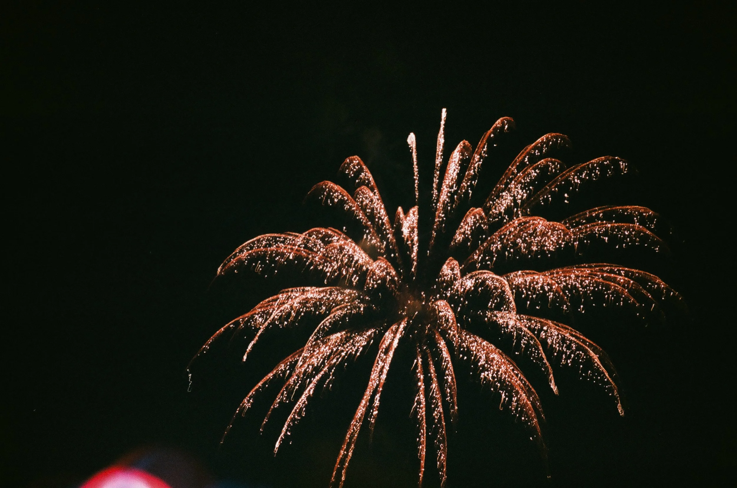 2DD41A34-59B0-4AA8-883F-A63C628B2E81.jpg