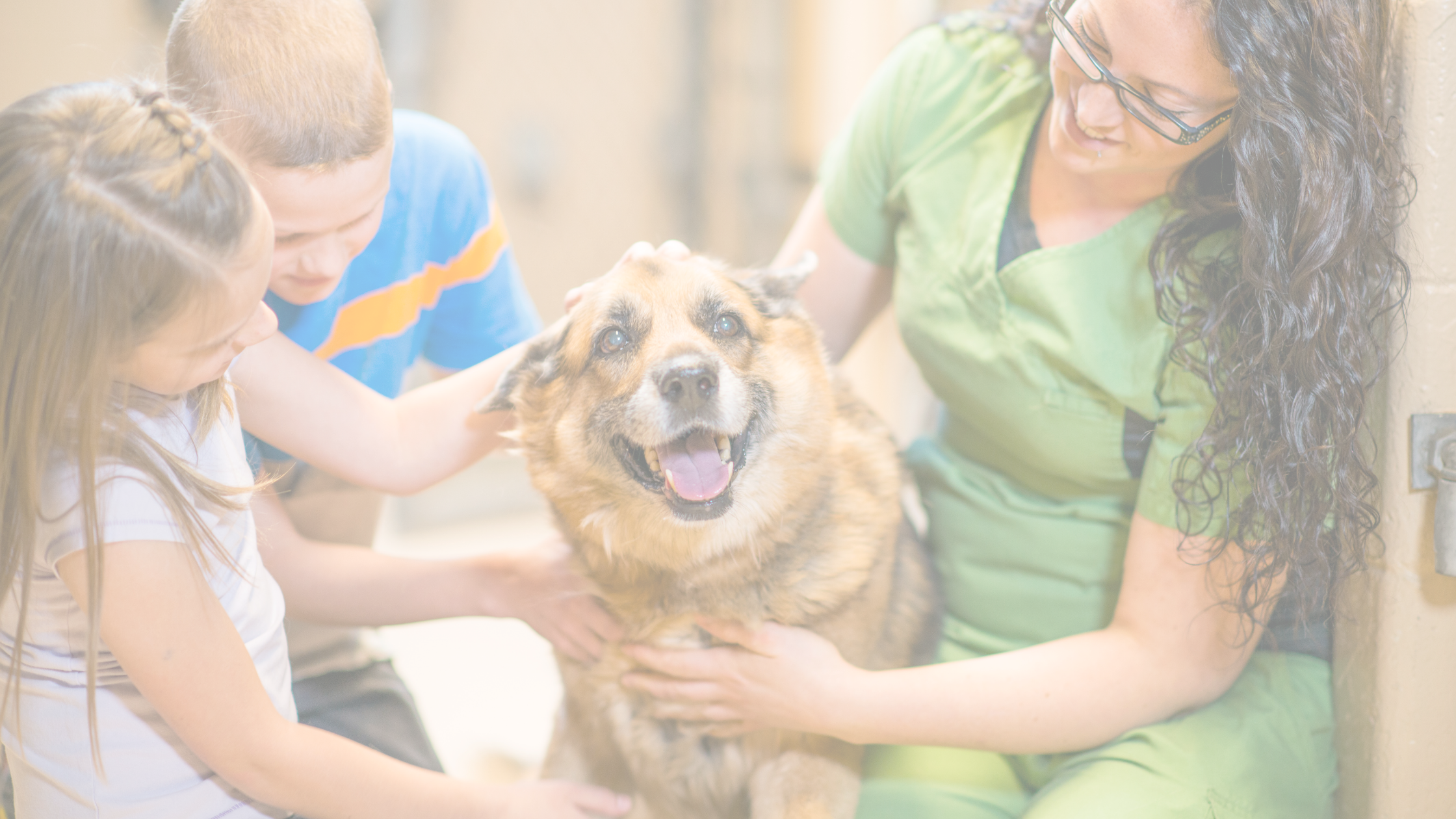 Two children with their senior dog with a veterinarian
