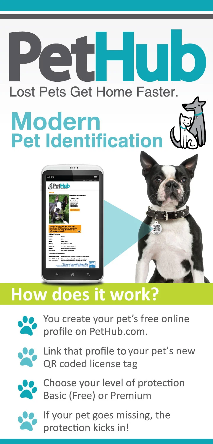 Pet-Hub---Muni-How-It-Works-Banner.jpg