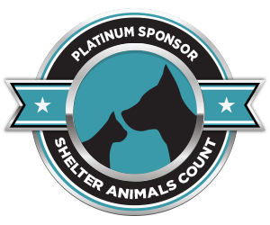 Badge--PlatinumSponsor300x250.png