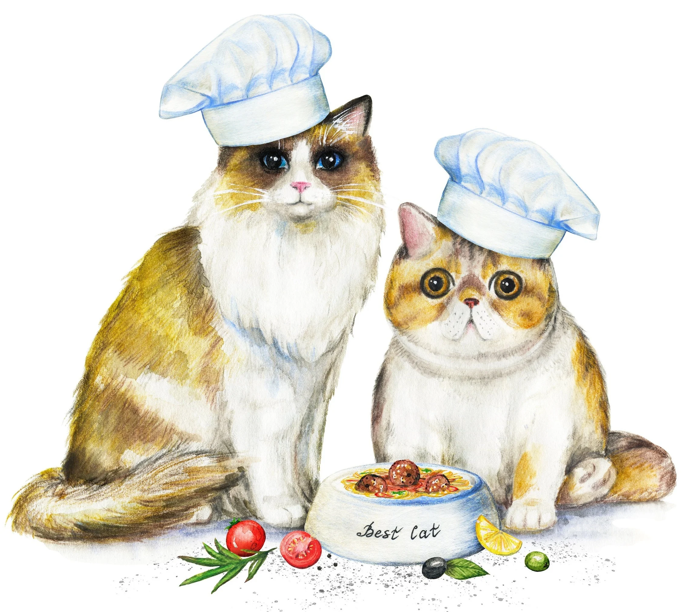 pasta_cats_art.jpg