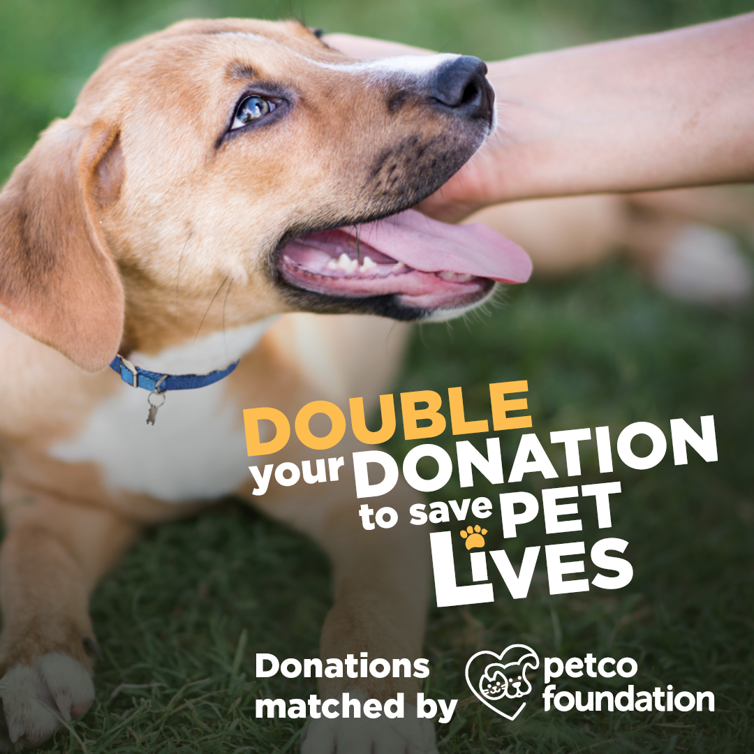 Petco Foundation Doubles Donation Impact With a $2500 Matching Grant to  Wenatchee Valley Humane Society — Wenatchee Valley Humane Society