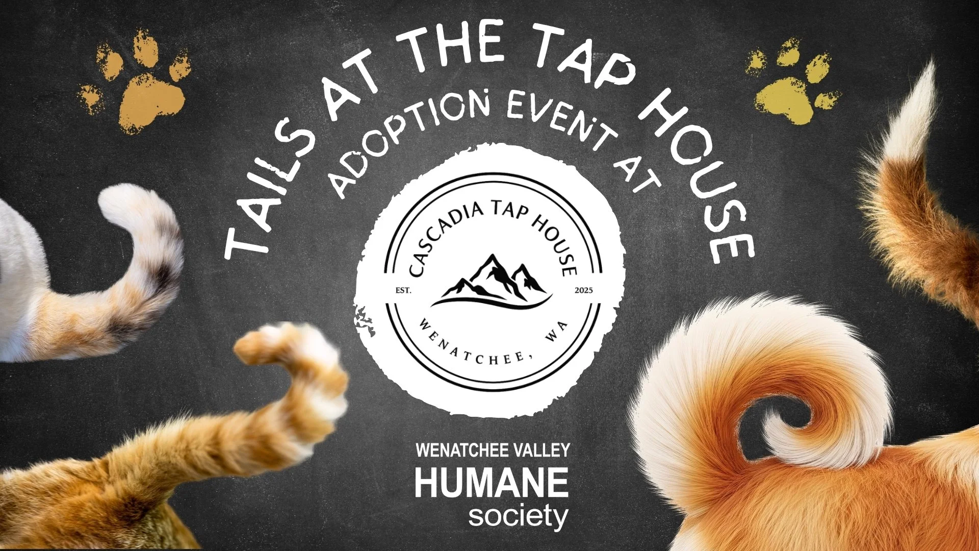 Tails at the Tap House