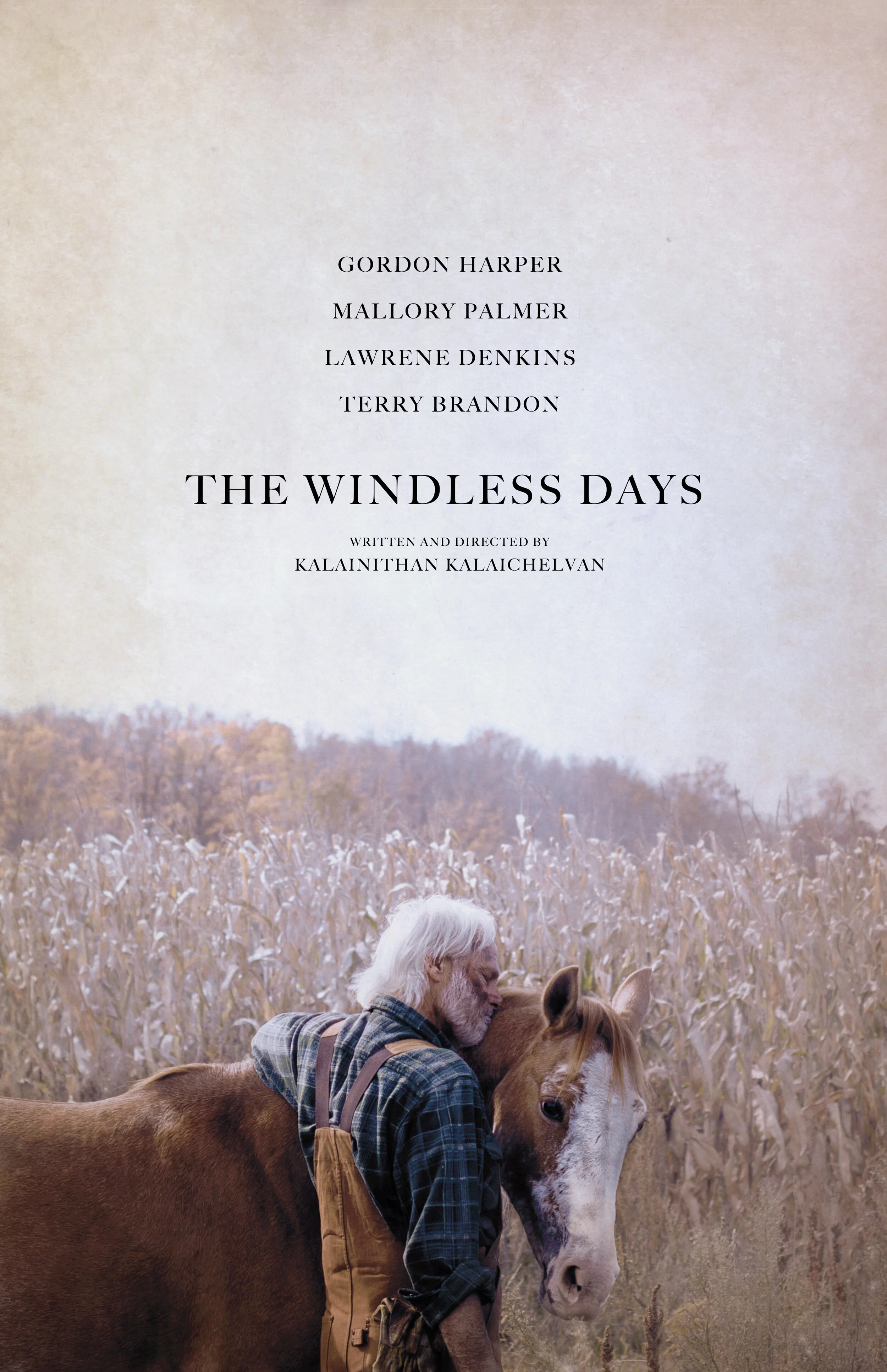 The Windless Days poster test 2 final maybe.jpg
