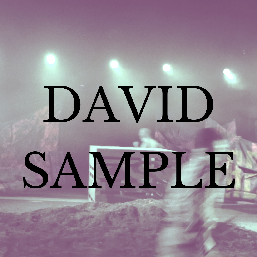 David sample.png