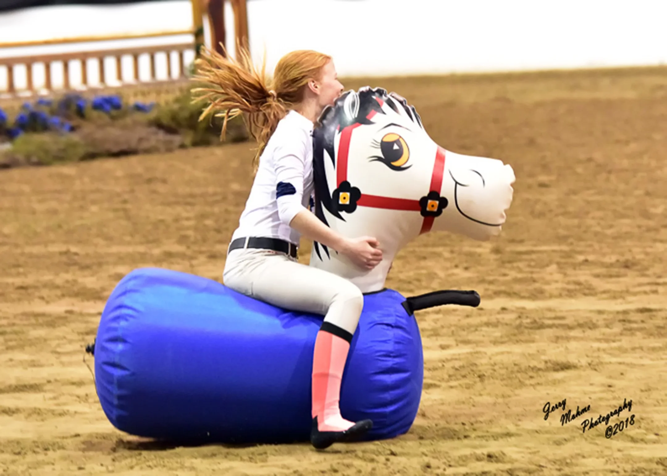 bouncy horse pic.jpg