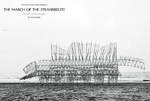 NYr_strandbeests.jpg