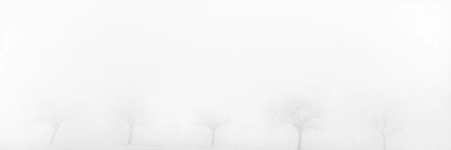 BELOW ZERO
