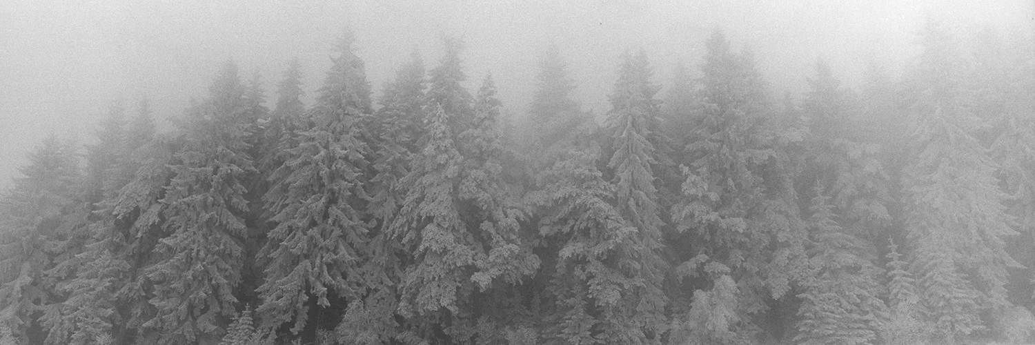 BELOW ZERO