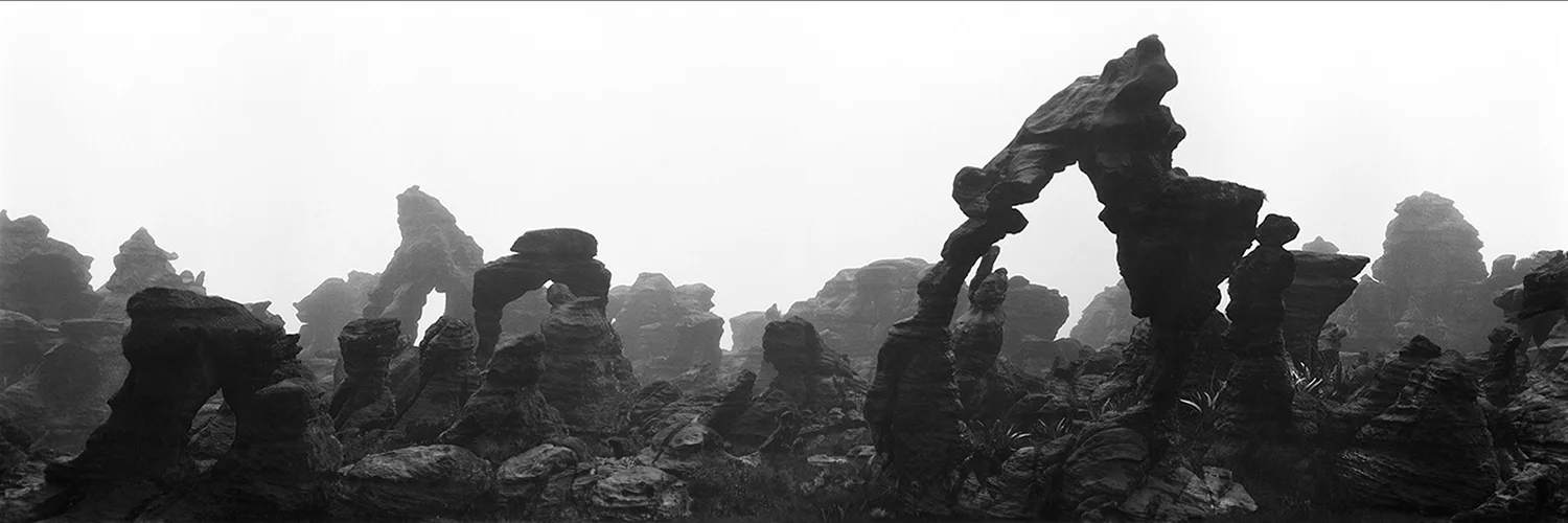 ROCK GARDENS