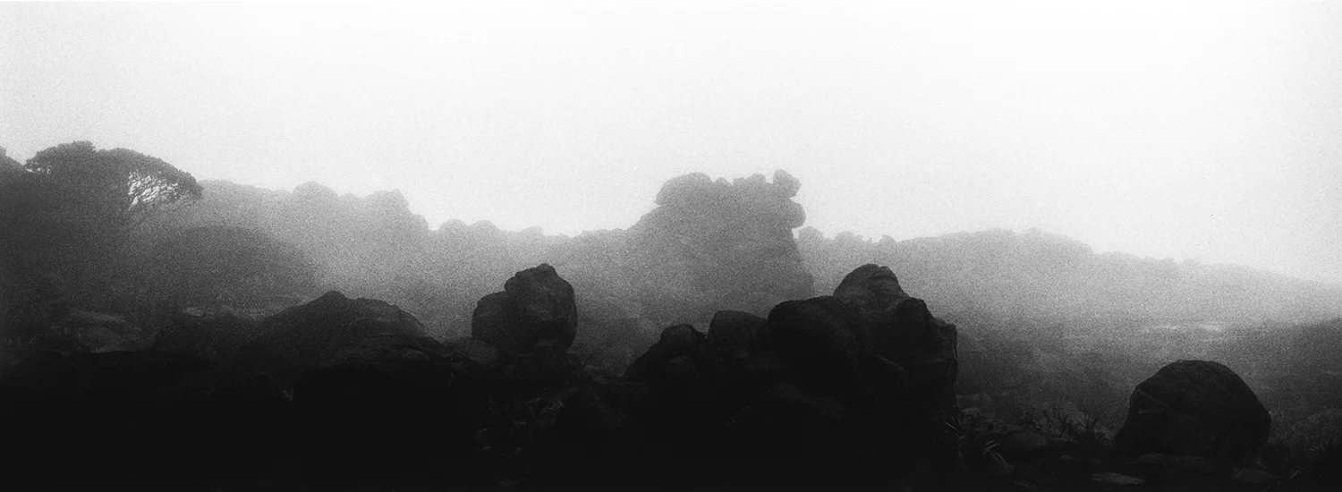 ROCK GARDENS