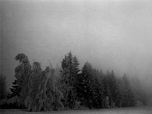 BELOW ZERO Familiar temperatures and sights