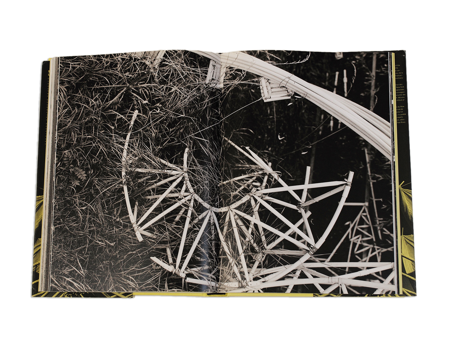 BOOKS_Strb_7.png