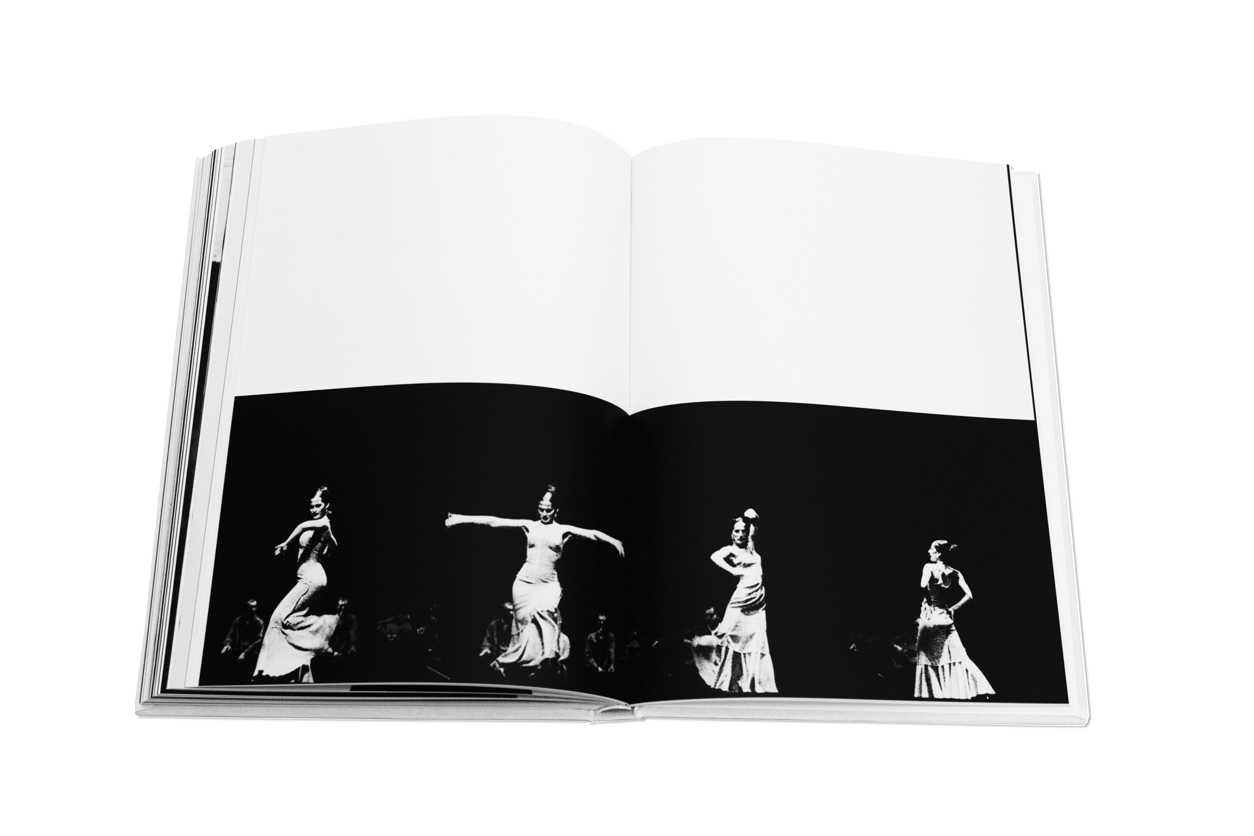 Books_Flamenco_7.png