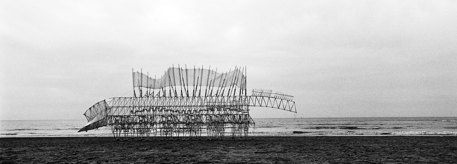 STRANDBEEST