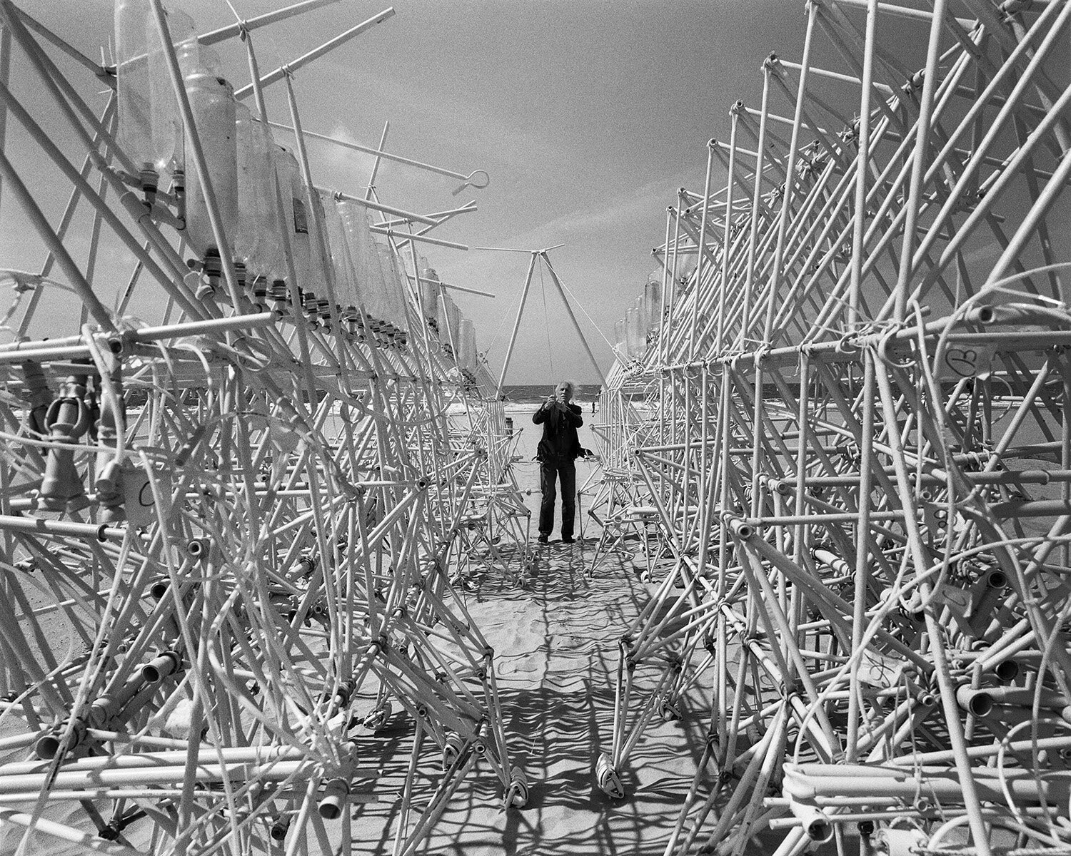 STRANDBEEST