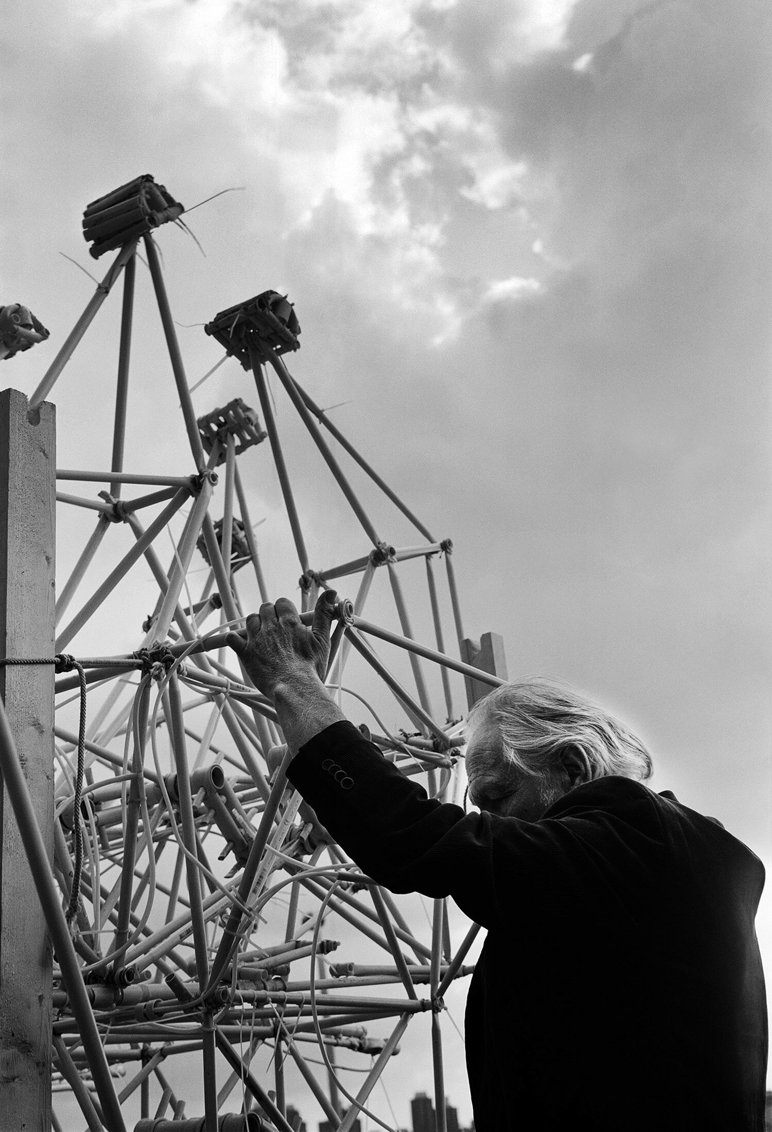 STRANDBEEST