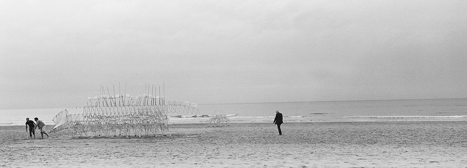 STRANDBEEST