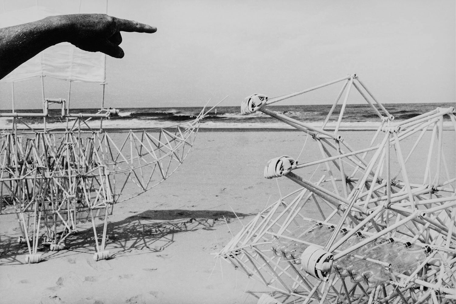 STRANDBEEST