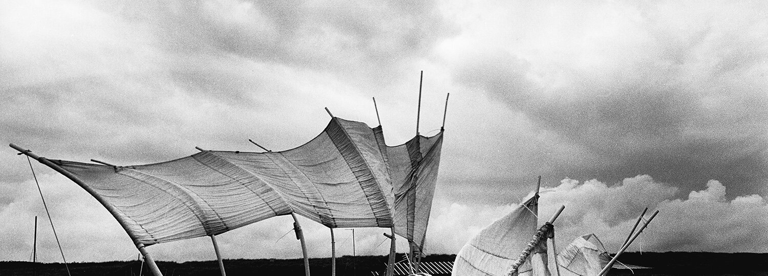 STRANDBEEST